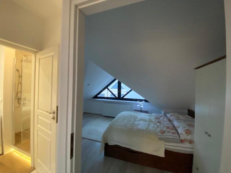 Apartament Pod 12 A Bielsko-Biała Zewnętrze zdjęcie